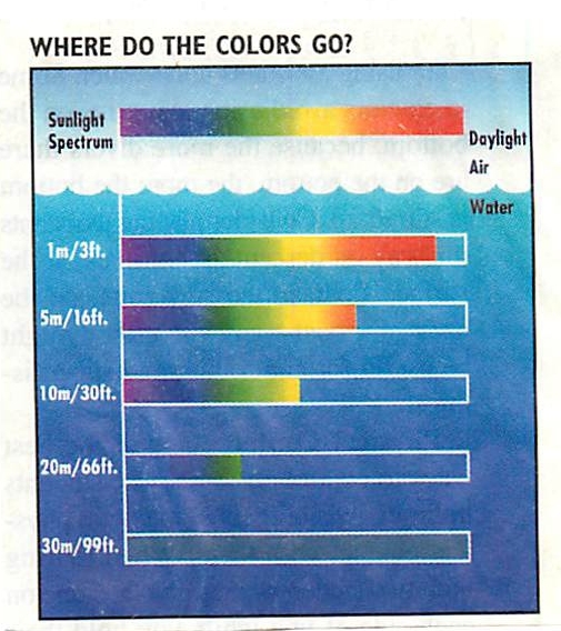 Color%20Loss%20Spectrum.jpg